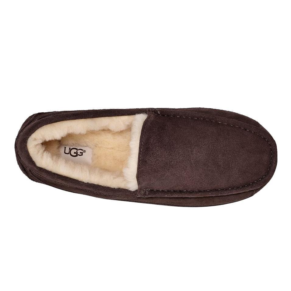 UGG Men's Ascot Espresso Suede